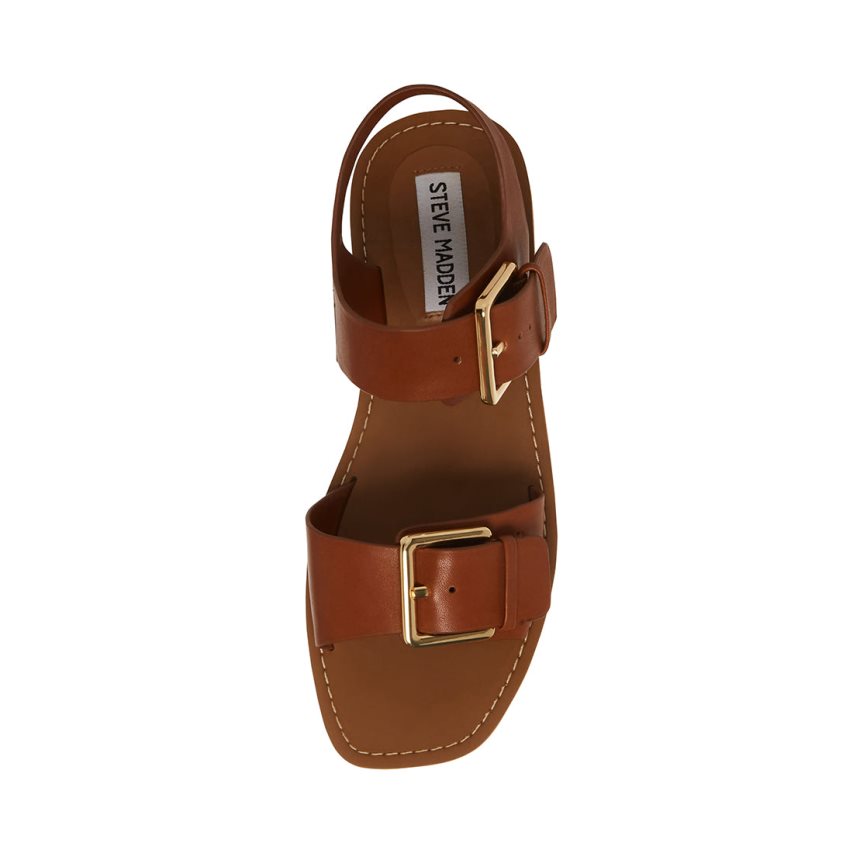 Brown Steve Madden Santo Leather Women's Flat Sandals | PH 3240GYA